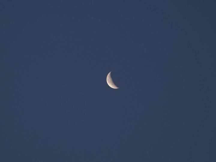 Parc dattractions Luna